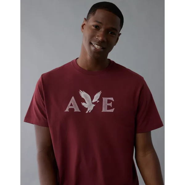 AE Lightweight Icon Logo Graphic T-Shirt - Wine