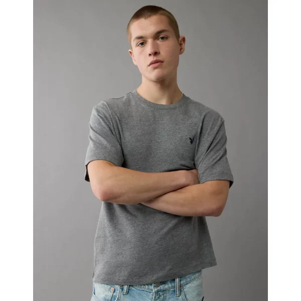 AE Lightweight Icon T-Shirt - Heather Gray