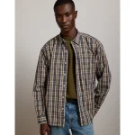 AE77 Premium Relaxed Striped Poplin Button-Up Shirt - Multi