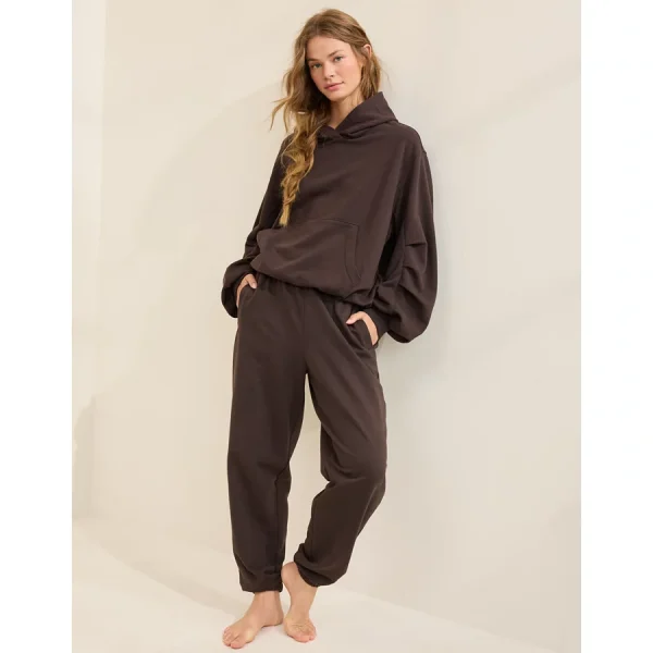 Aerie Jet Setter Hoodie - Deep Earth