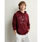 AE Lightweight Icon Logo Graphic Hoodie T-Shirt - Wine