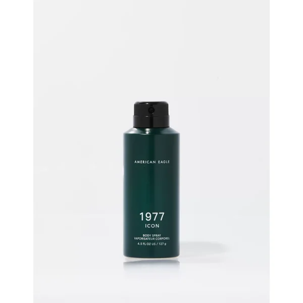AEO 1977 Icon 4.5oz Body Spray - Multi